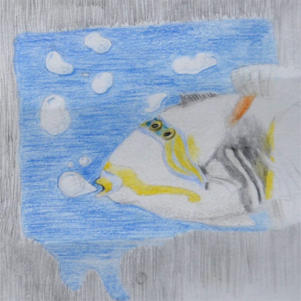 12er_UHU_etc_DXP1596